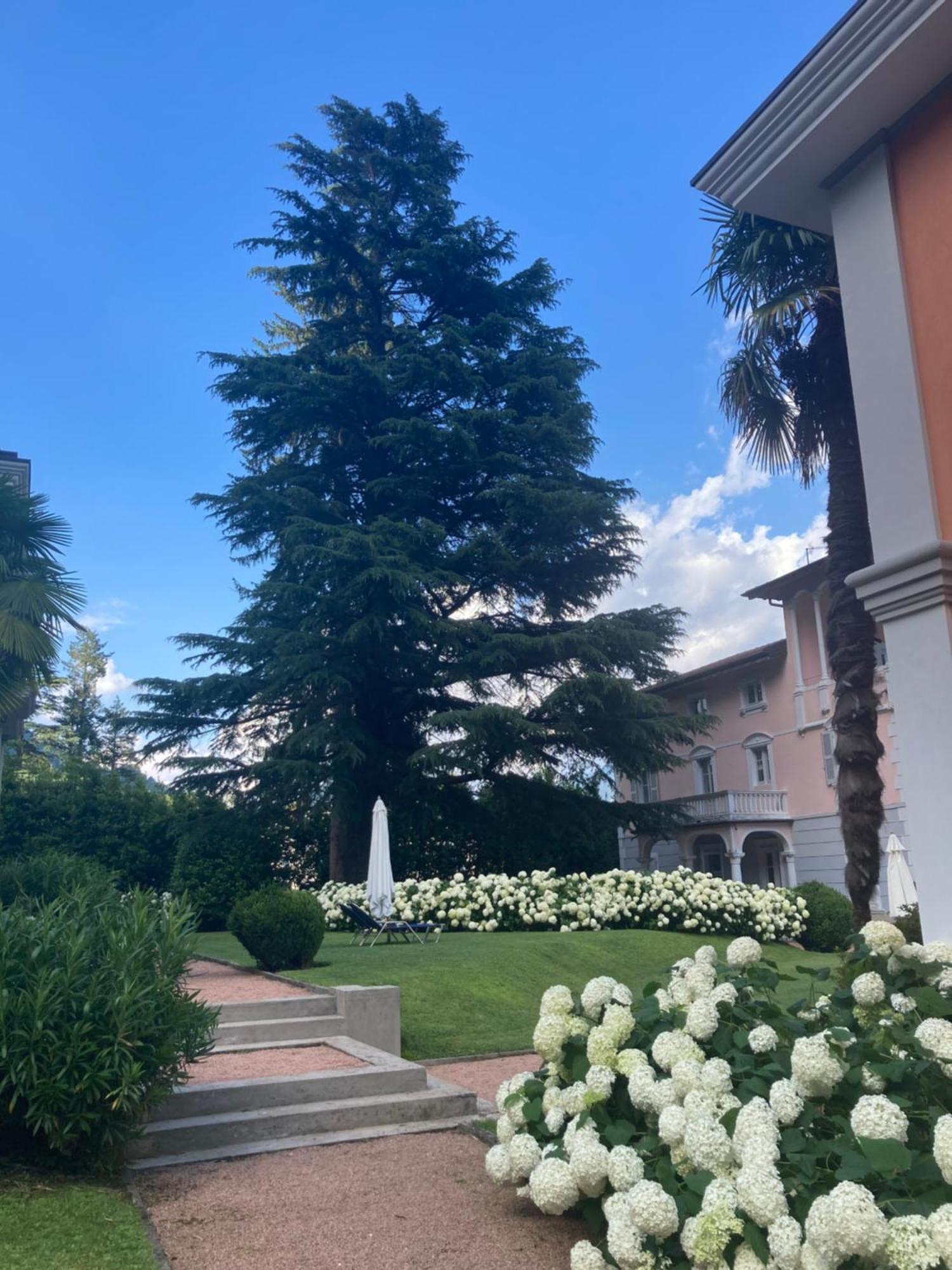 Ville Lago Lugano بورتو تْشاريسيو المظهر الخارجي الصورة